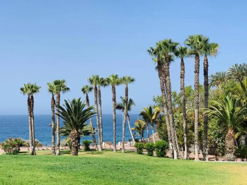 Sunny Paradise Apartment Playa de las Américas 0*,